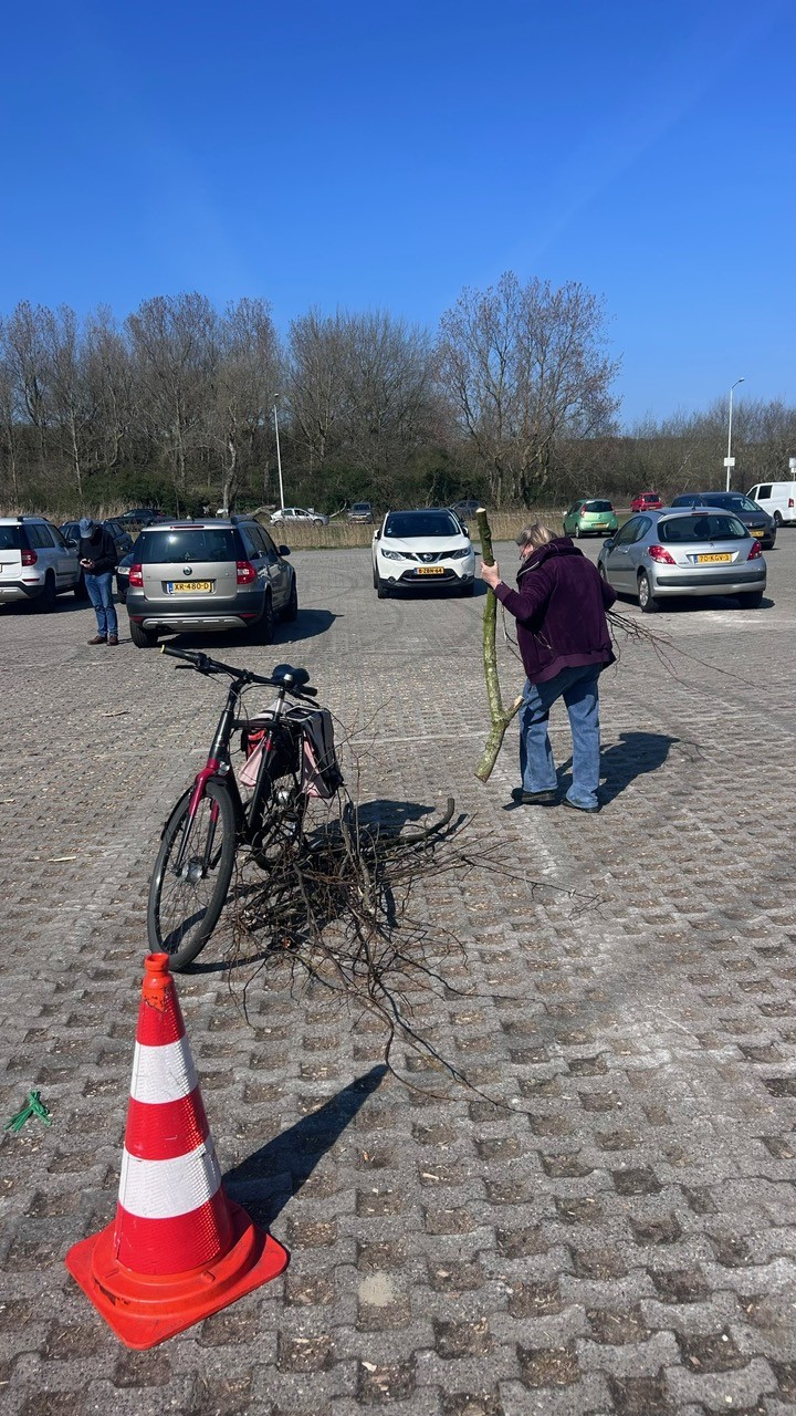 Hout ophaaldag Den Haag11.jpg