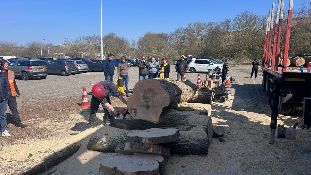 Hout ophaaldag Den Haag14.jpg