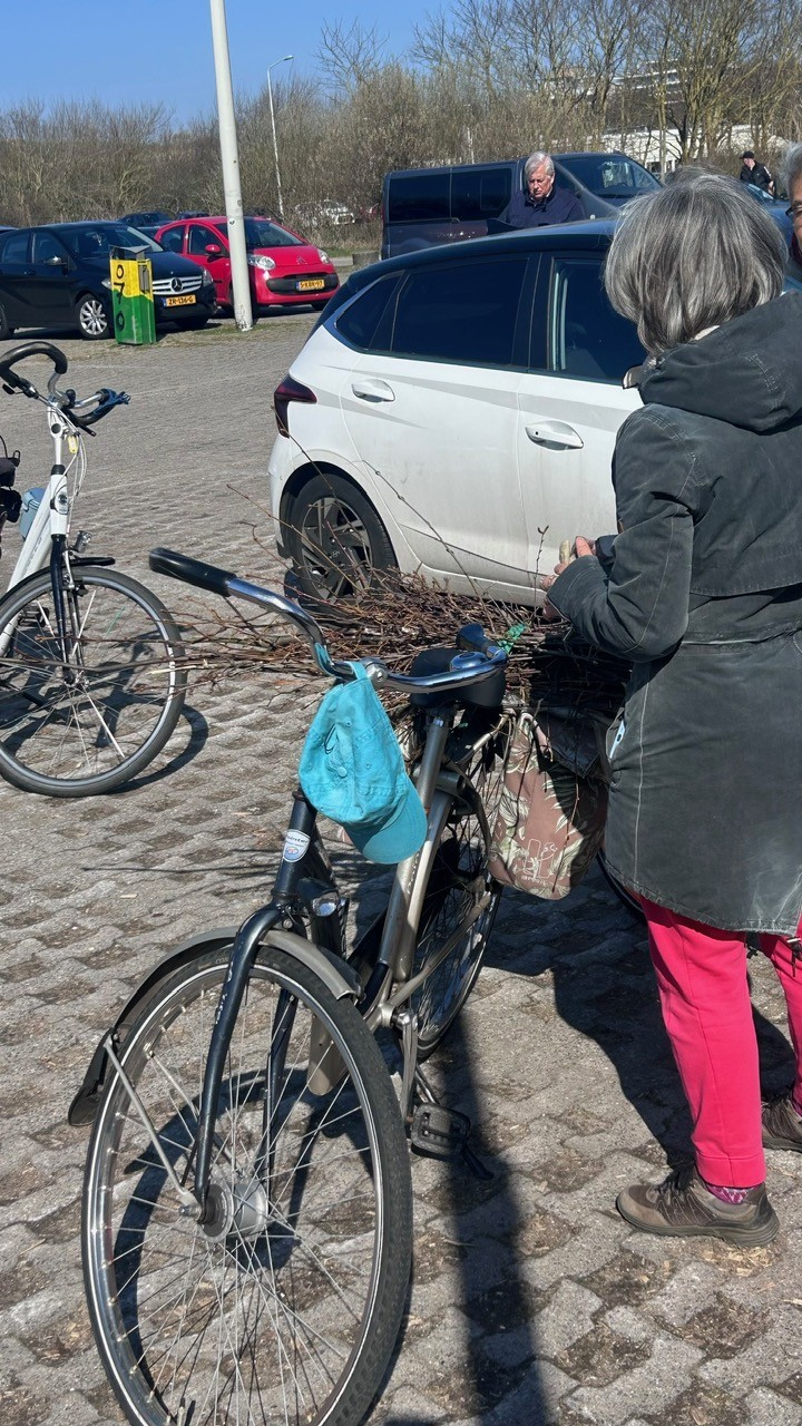 Hout ophaaldag Den Haag19.jpg