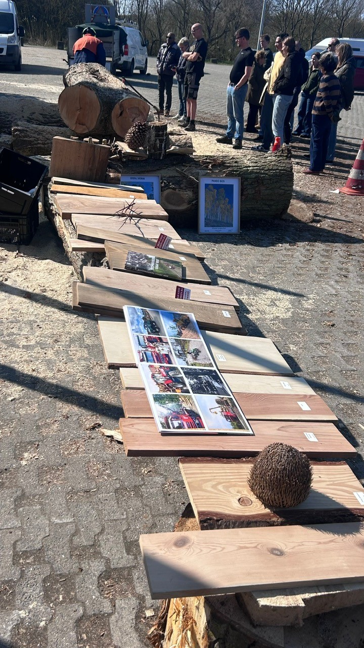 Hout ophaaldag Den Haag21.jpg