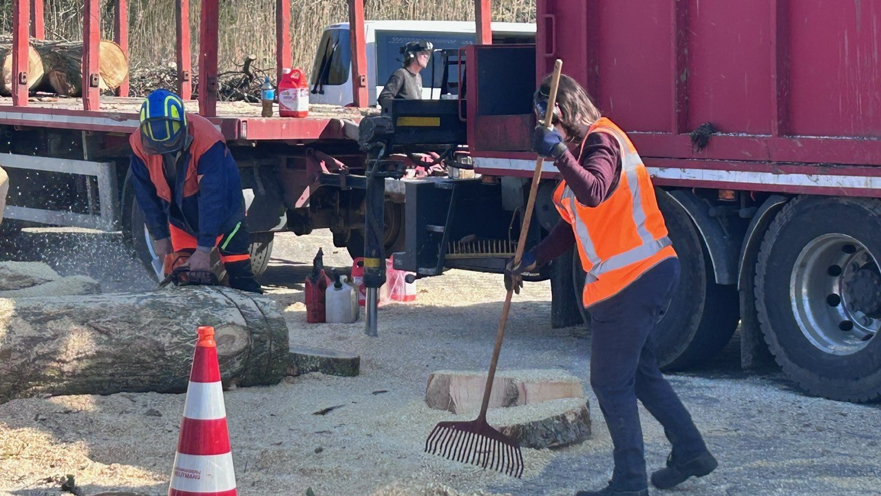 Hout ophaaldag Den Haag27.jpg