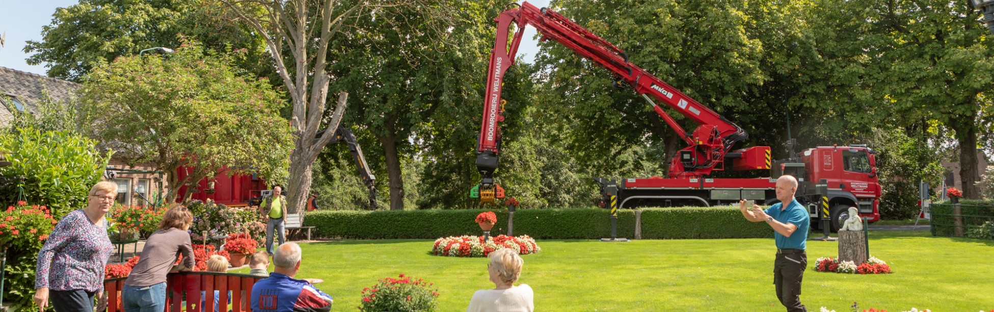 Bomen kappen; kapvergunning