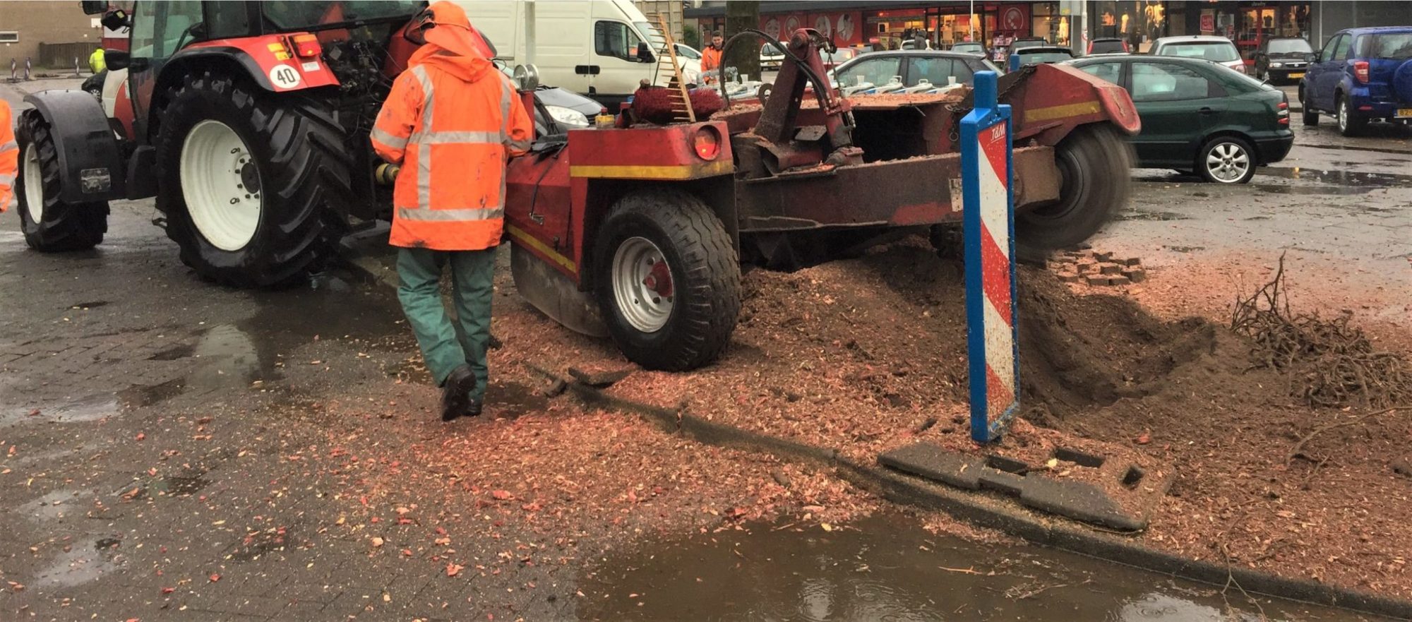 Boomstronk verwijderen