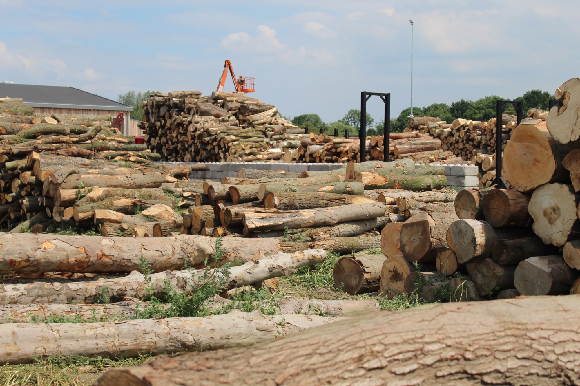 Hout Inkoop / Verkoop