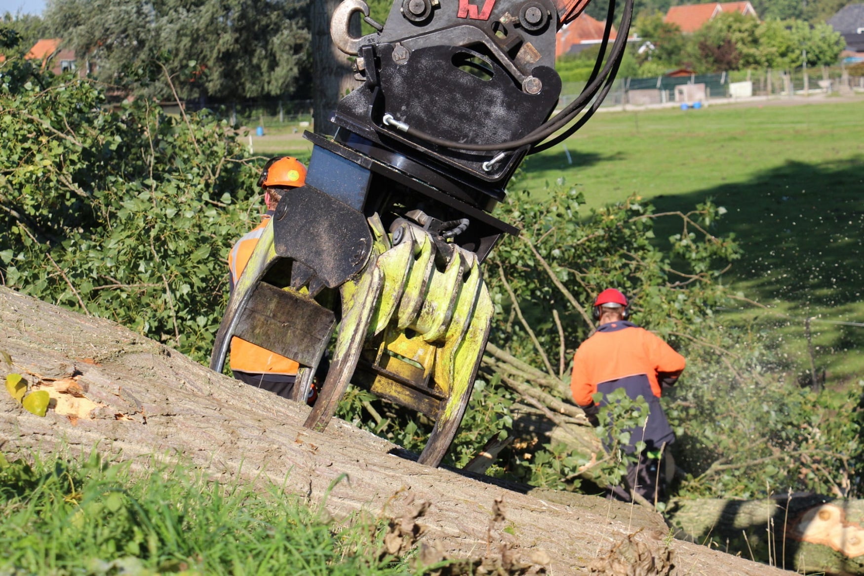 Boom rooien Bergen op Zoom