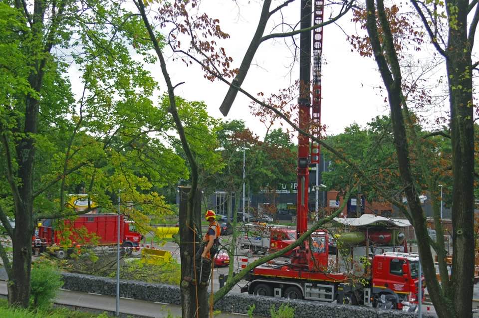 rooien iepenziekte Delft boomrooierij Weijtmans