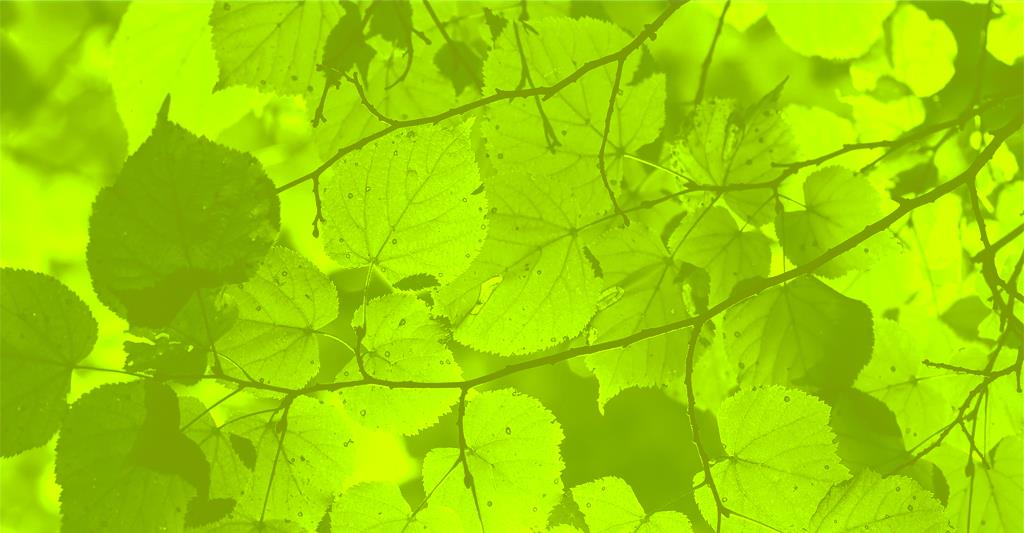 Direct offerte aanvragen