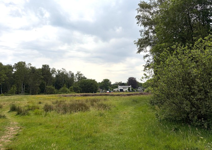 20260531-stadsbosdag3-klein.jpg