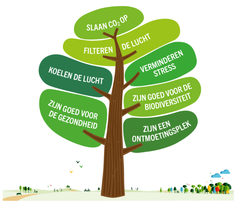 Schema Bomen PEFC.png