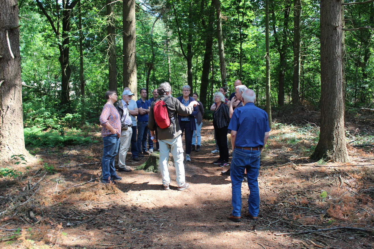 Tilburgsbos_Boscafe_Reeshof_Boomrooierij_Weijtmans_6.jpg