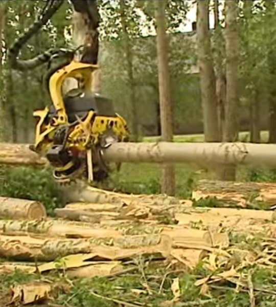 Juli 2012 – Heusden