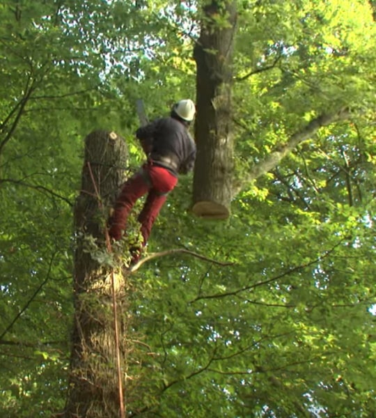 September 2013 – Loon op Zand