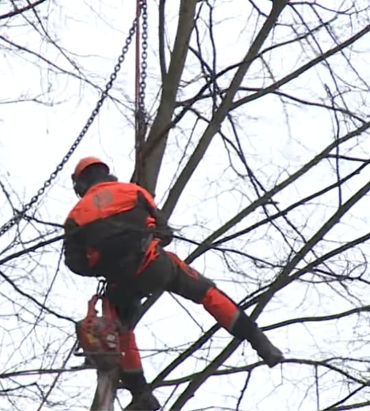 Maart 2014 – Valkenburg