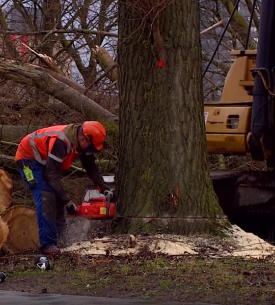 Maart 2015 – Eindhoven