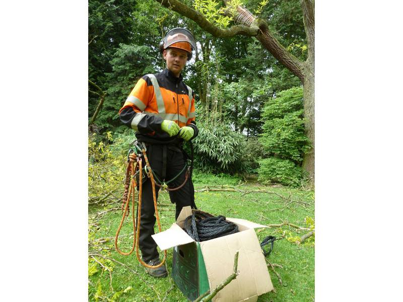 Snoeien van een gleditsia in een particuliere tuin - Foto 20