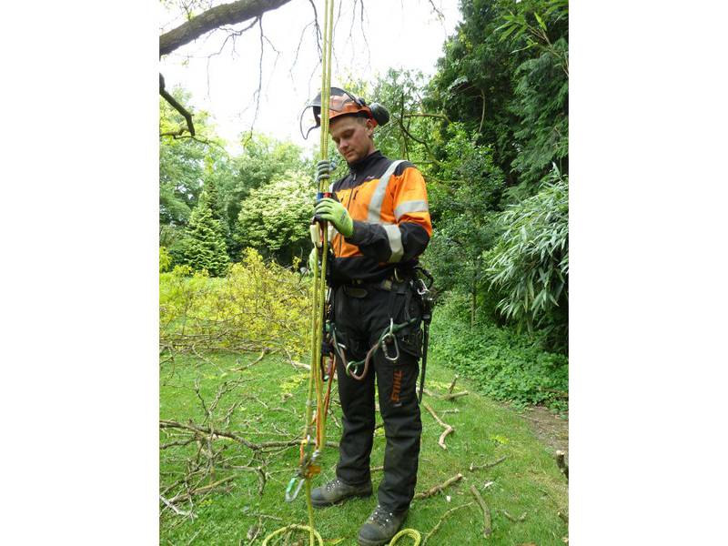 Snoeien van een gleditsia in een particuliere tuin - Foto 21