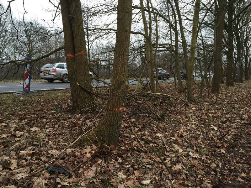 Eindhoven – John F. Kennedylaan - Foto 1