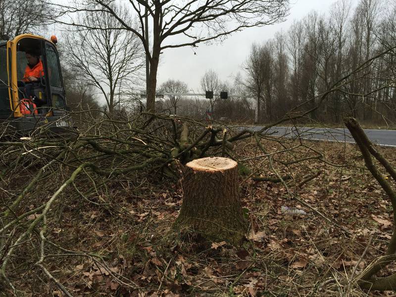 Eindhoven – John F. Kennedylaan - Foto 6