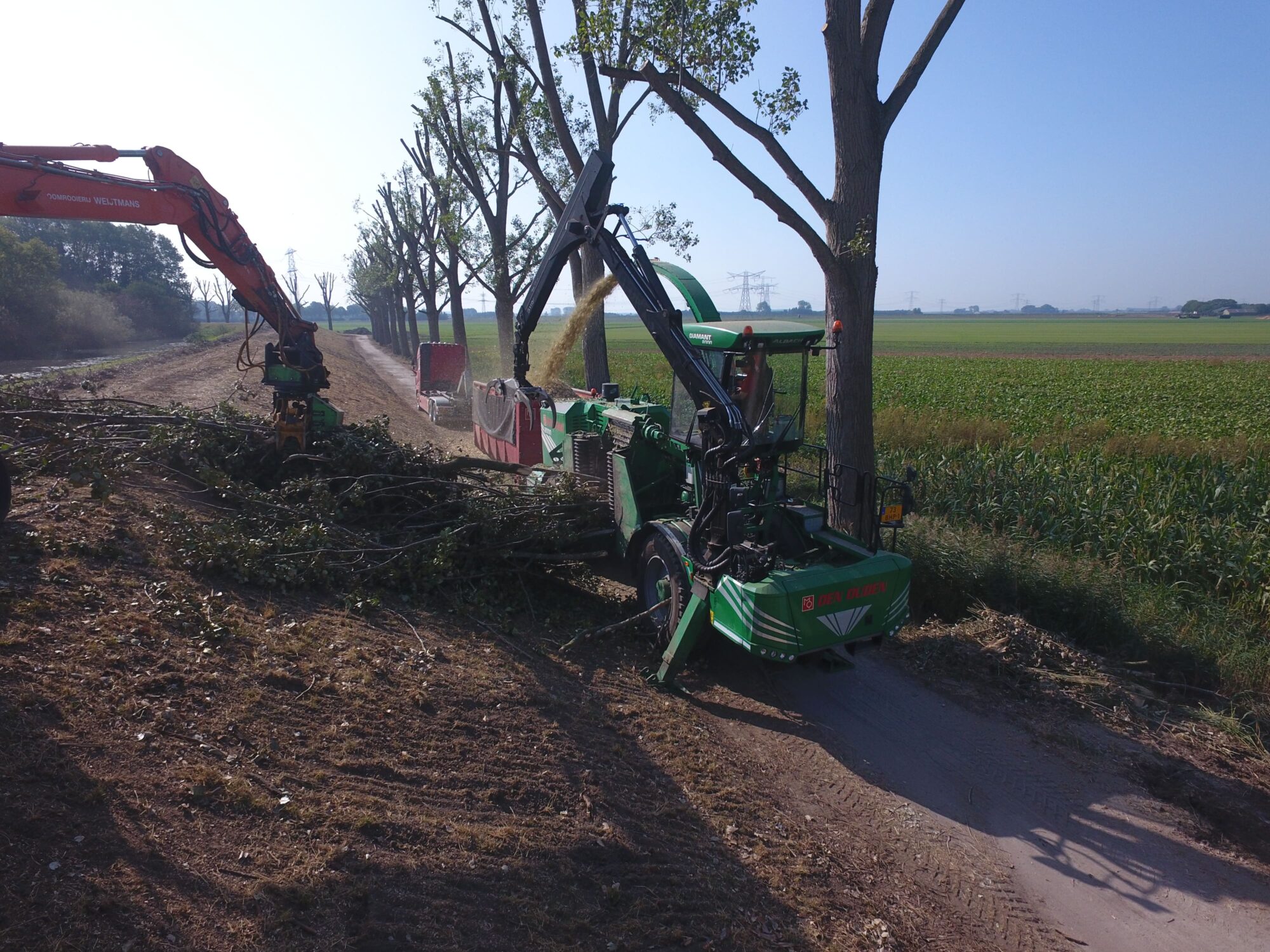 Drimmelen, stobben, frezen en takkenmateriaal versnipperen met Albach Diamant 2000 - Foto 19