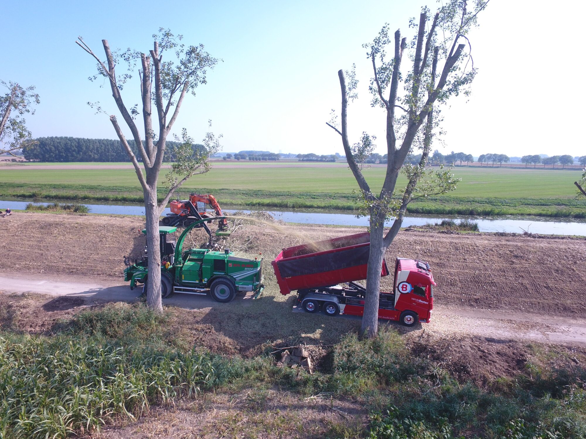 Drimmelen, stobben, frezen en takkenmateriaal versnipperen met Albach Diamant 2000 - Foto 30