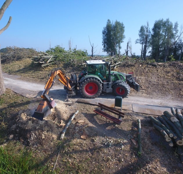 Drimmelen, stobben, frezen en takkenmateriaal versnipperen met Albach Diamant 2000