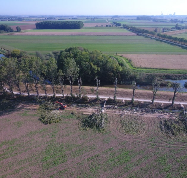 Renovatie Populieren Lage Zwaluwe / Drimmelen