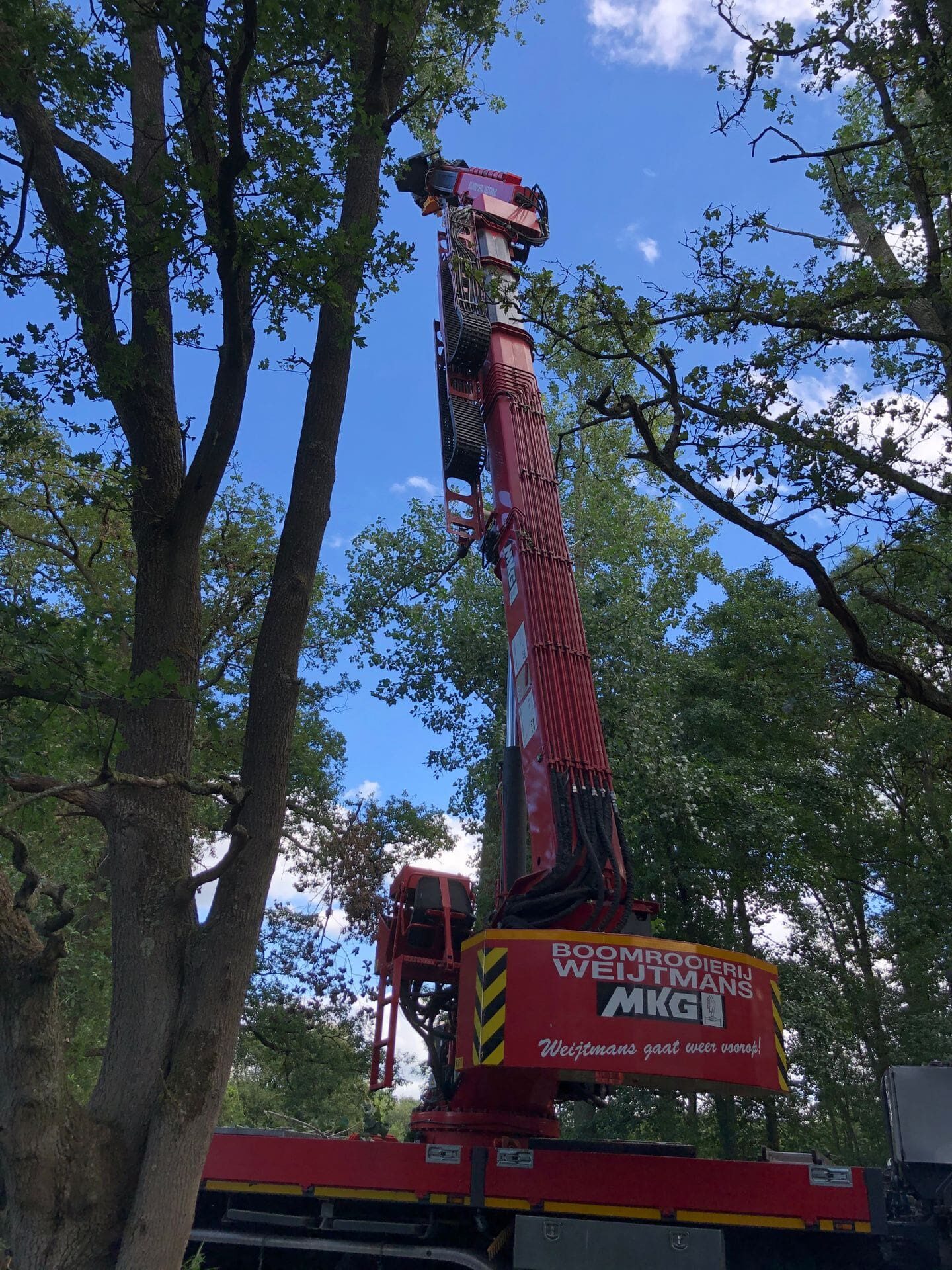 Renovatie natuurgebied Kampina, langs rivier De Beerze - Foto 20