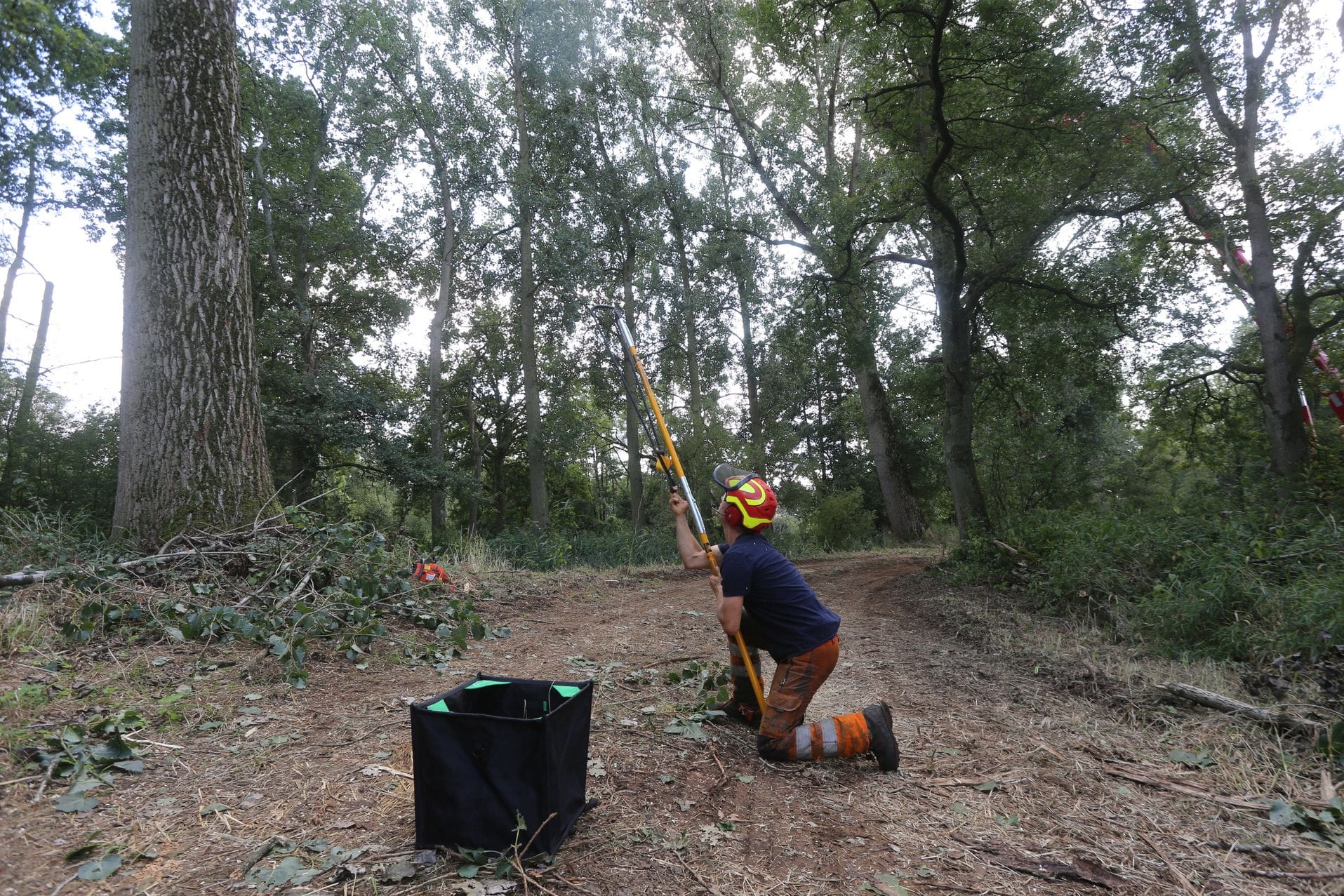 Renovatie natuurgebied Kampina, langs rivier De Beerze - Foto 44