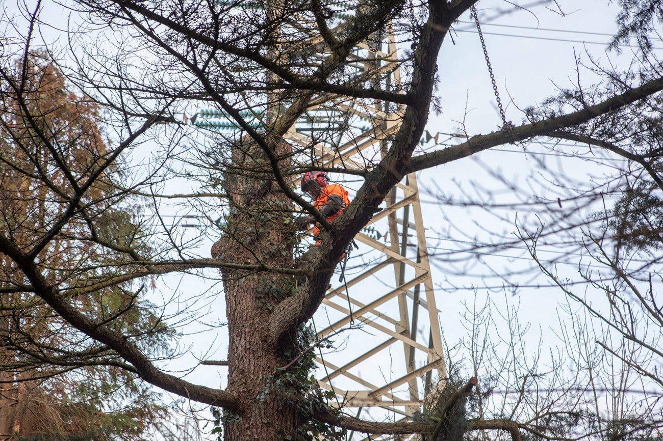 Werk onder hoogspanning - Foto 2