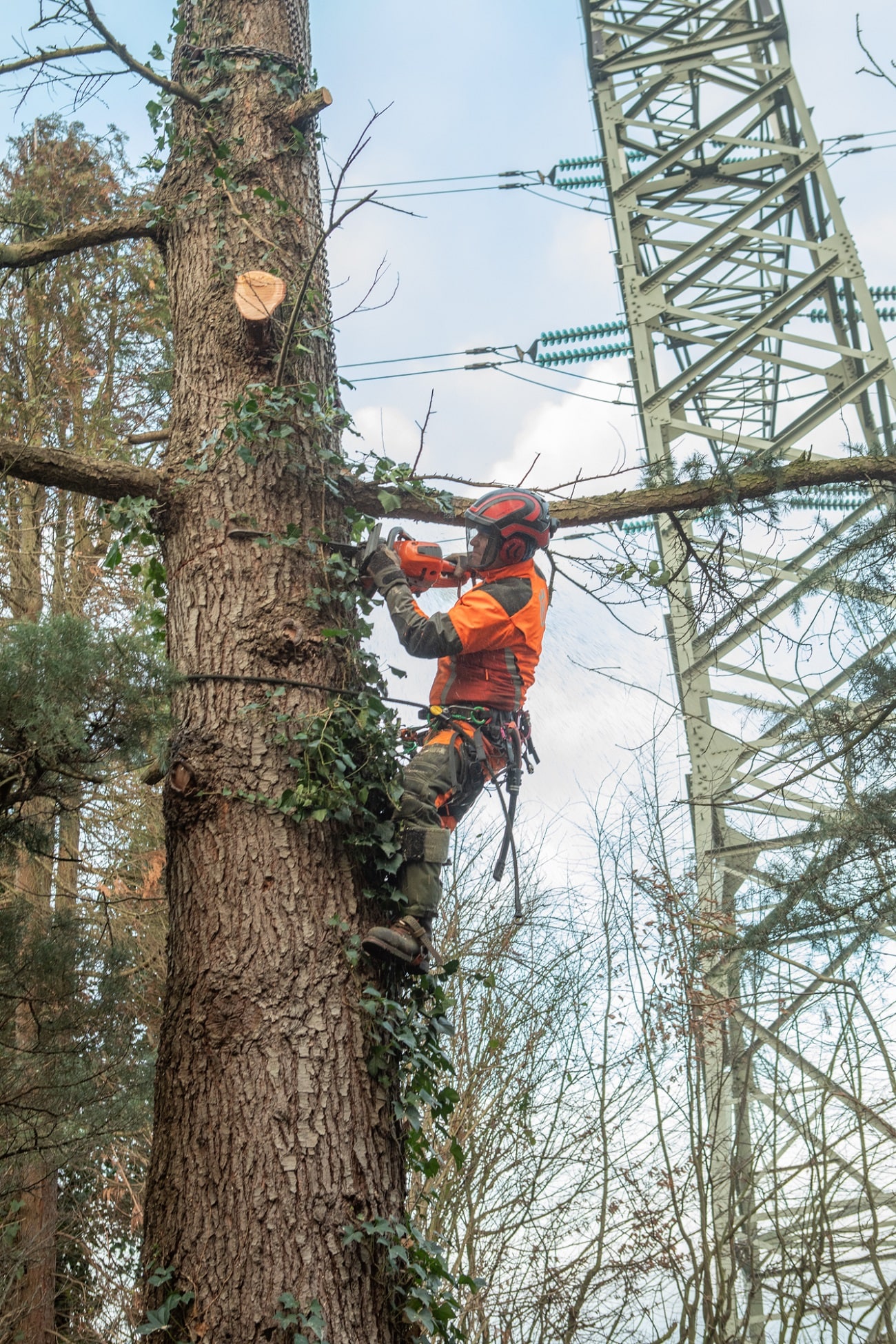 Werk onder hoogspanning - Foto 4