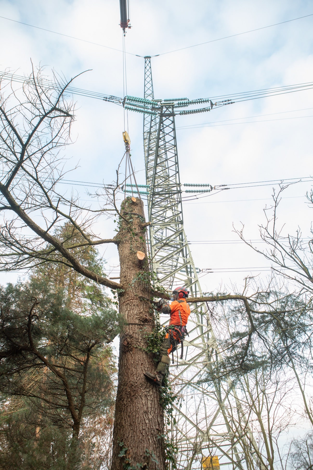 Werk onder hoogspanning - Foto 5