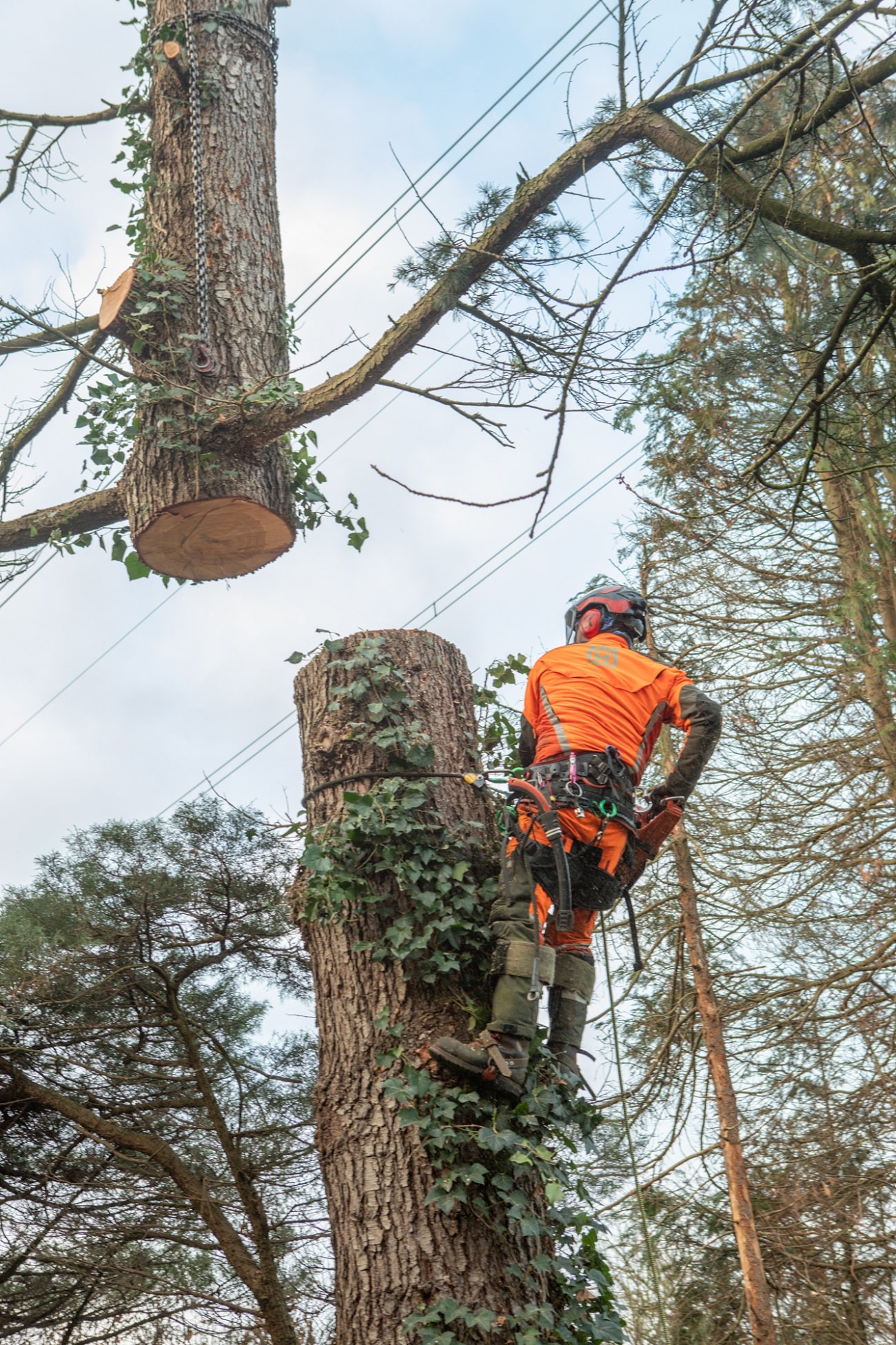 Werk onder hoogspanning - Foto 6