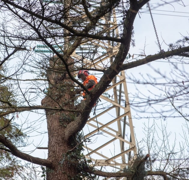 Werk onder hoogspanning
