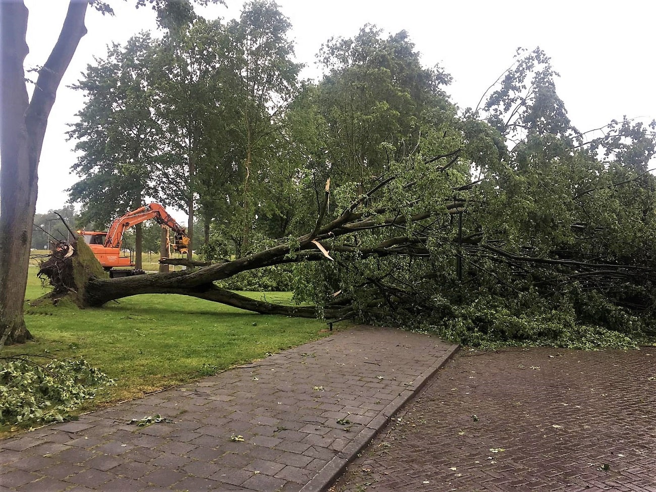 Stormschade Eindhoven - Foto 2