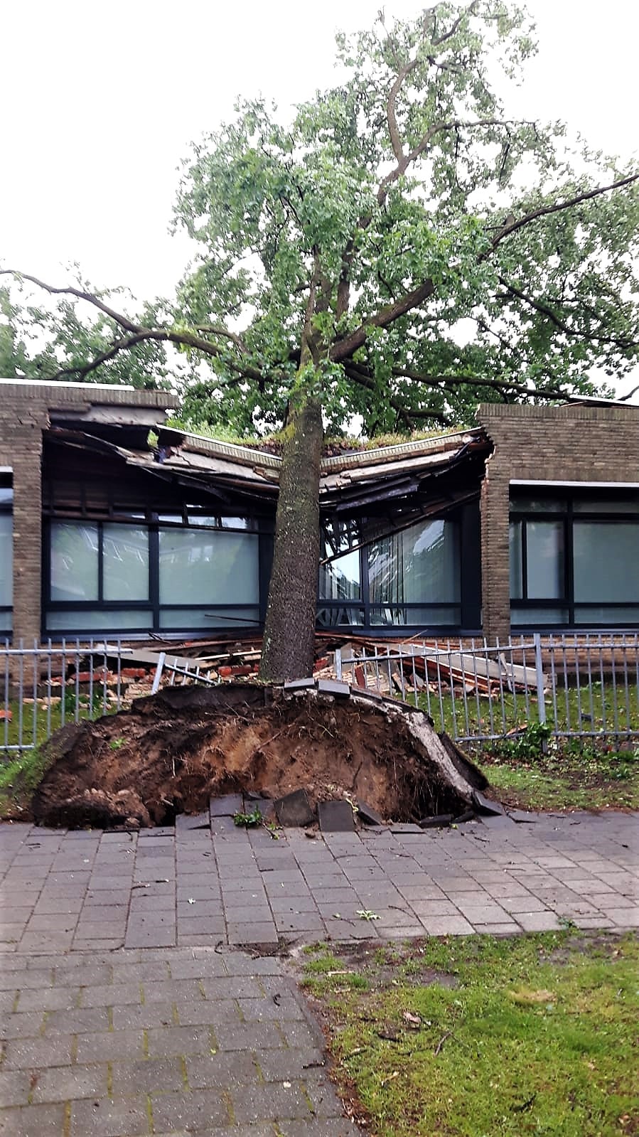Stormschade Eindhoven - Foto 4