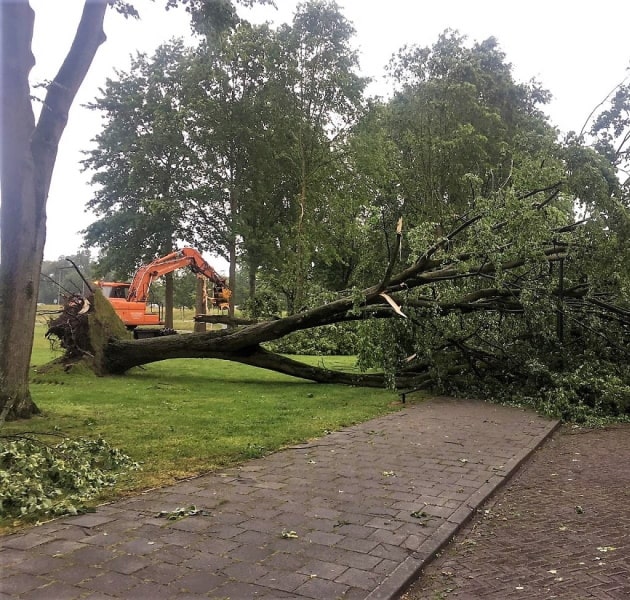 Stormschade Eindhoven
