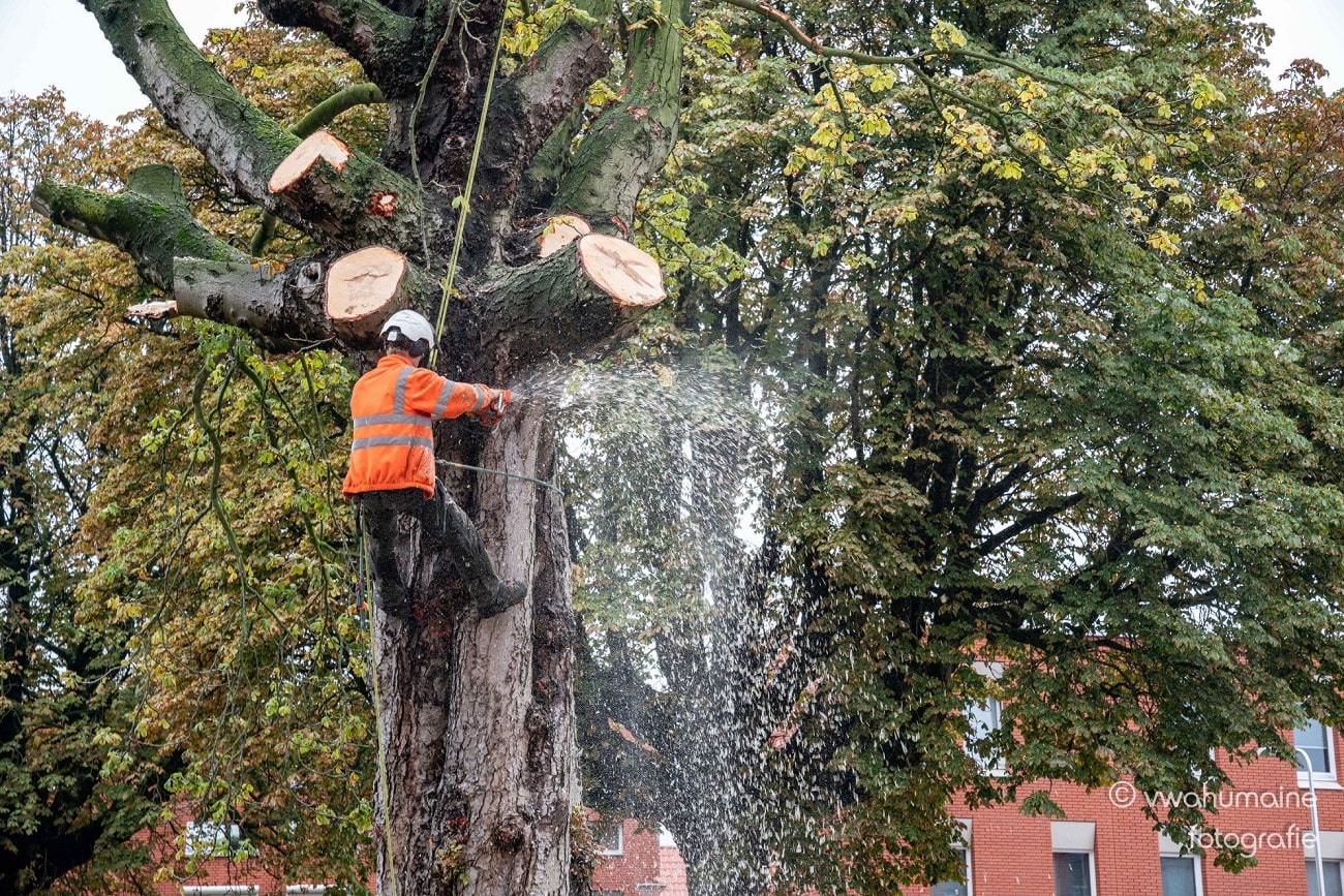 Sint Pieterspark Tilburg - Foto 1