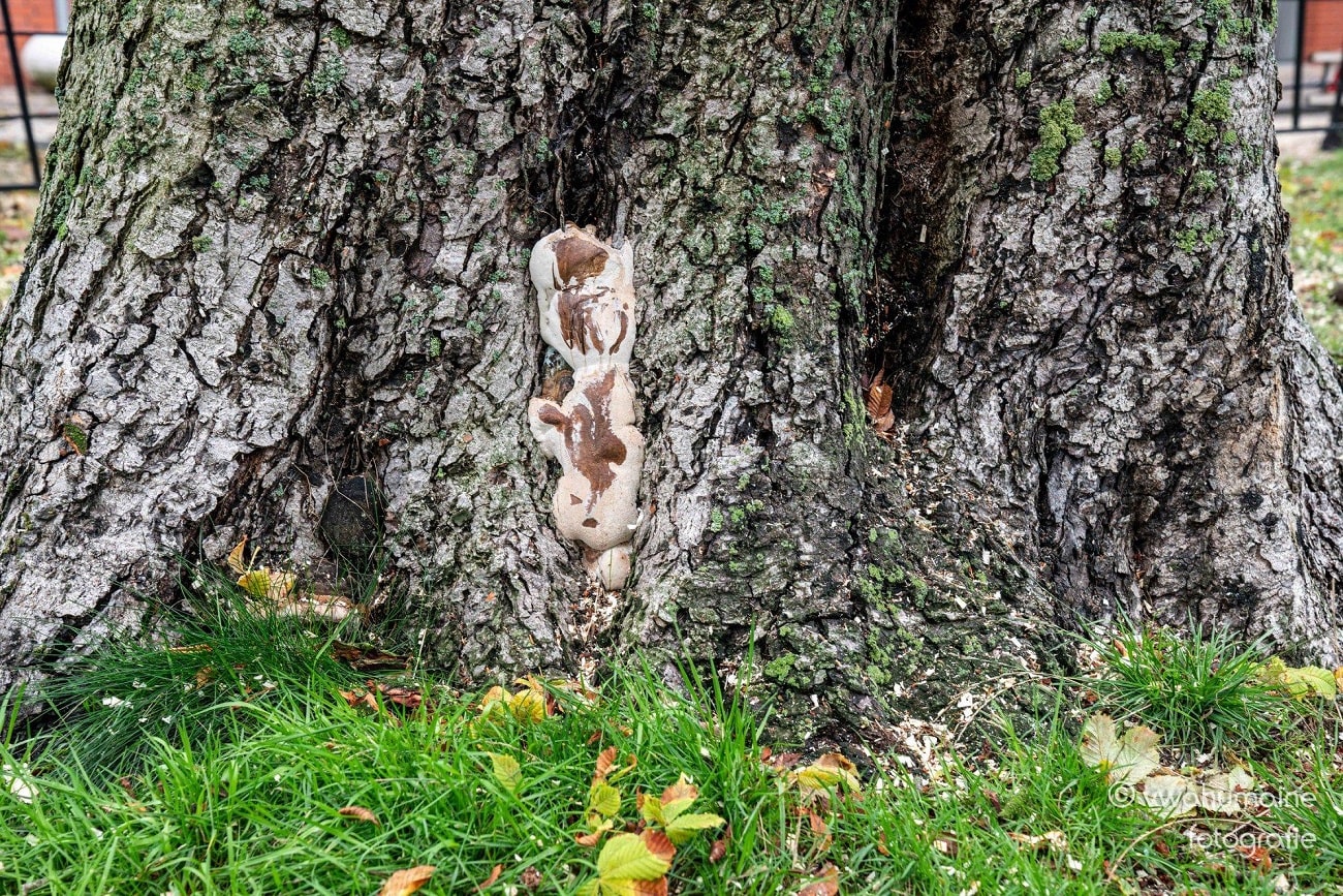 Sint Pieterspark Tilburg - Foto 2