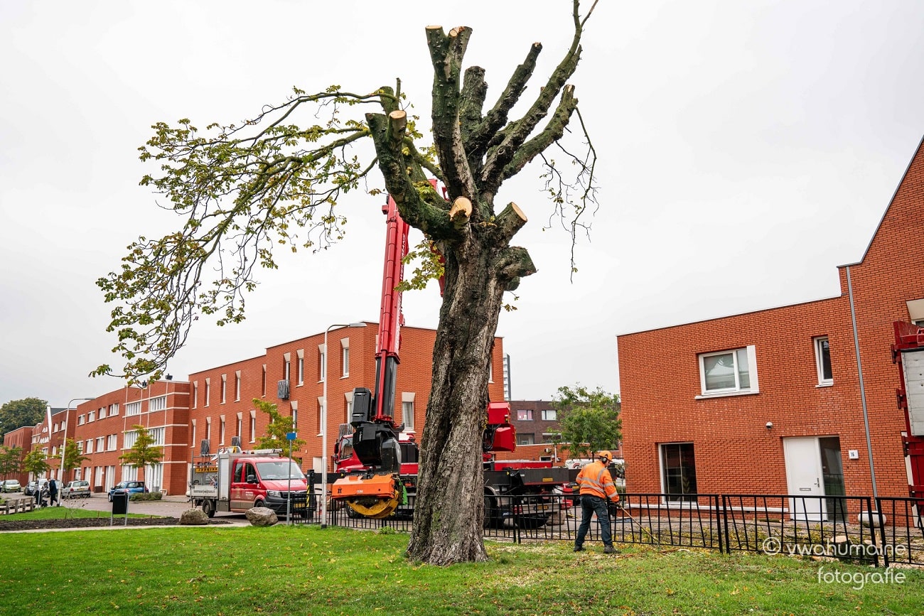 Sint Pieterspark Tilburg - Foto 3