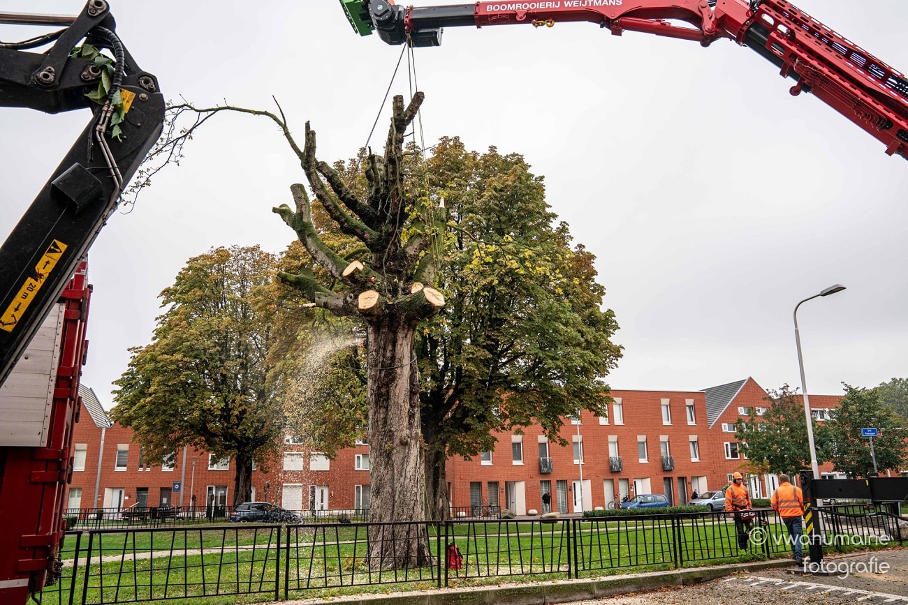 Sint Pieterspark Tilburg - Foto 4