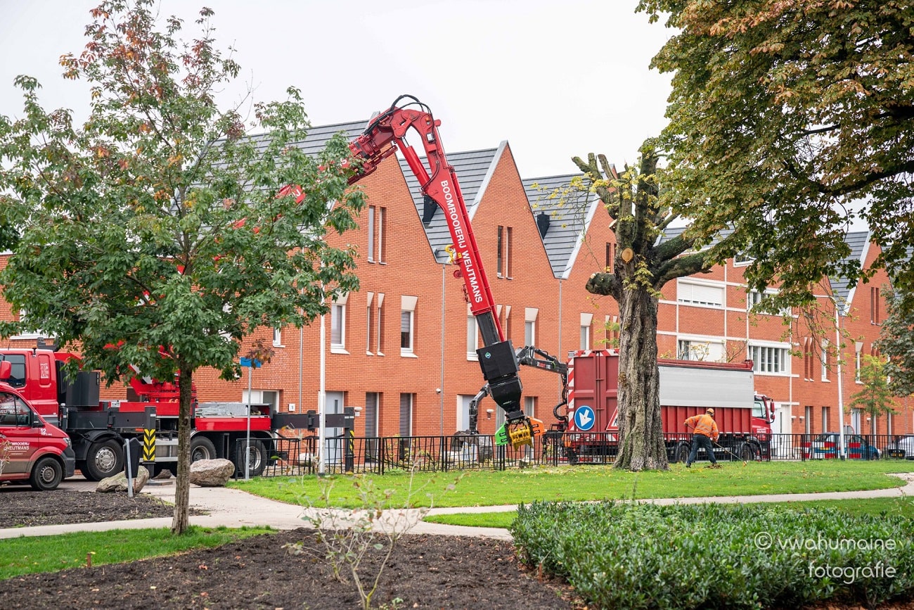 Sint Pieterspark Tilburg - Foto 5