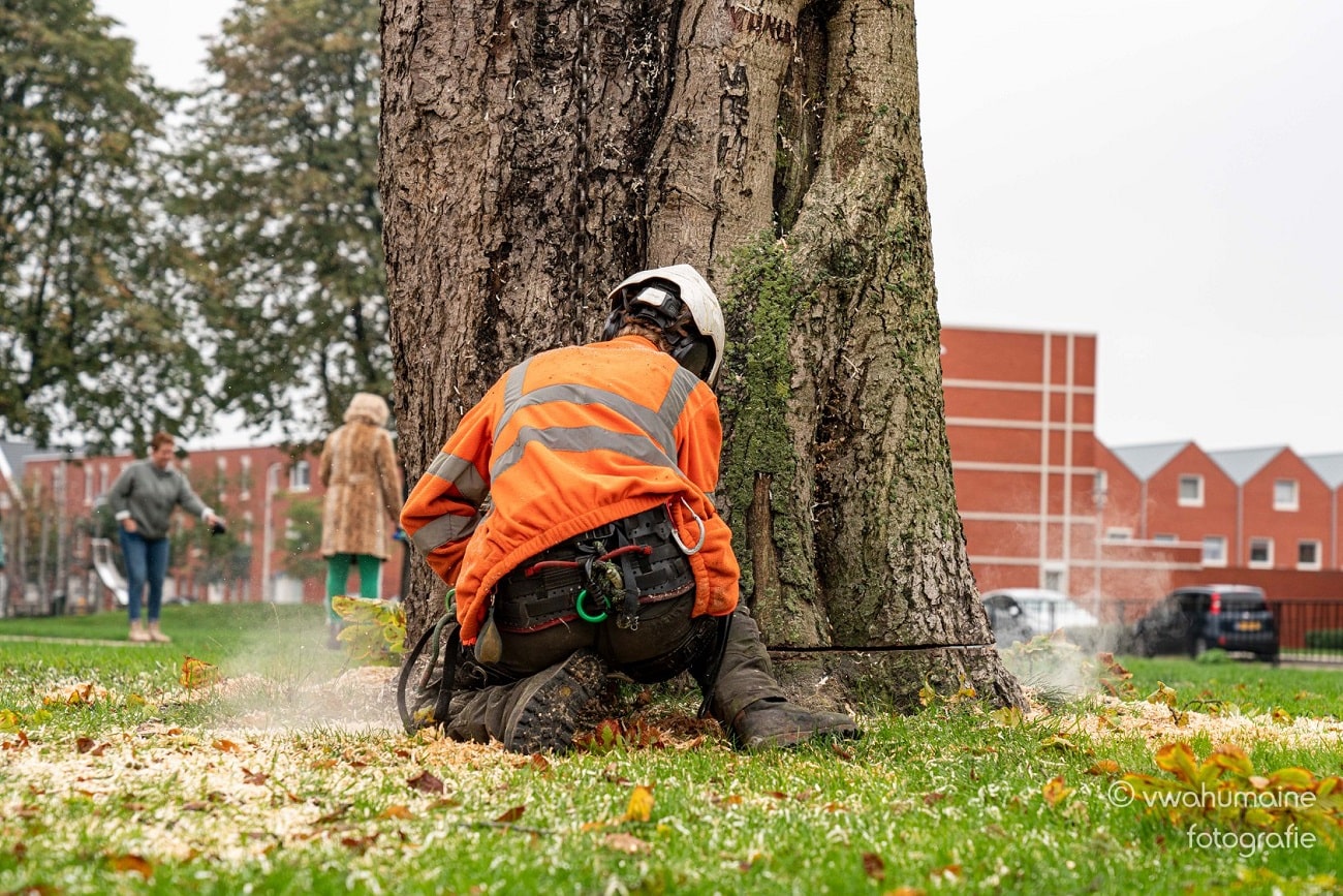 Sint Pieterspark Tilburg - Foto 6