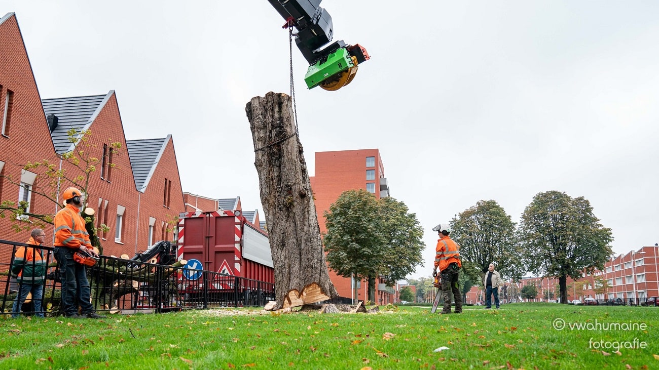 Sint Pieterspark Tilburg - Foto 7