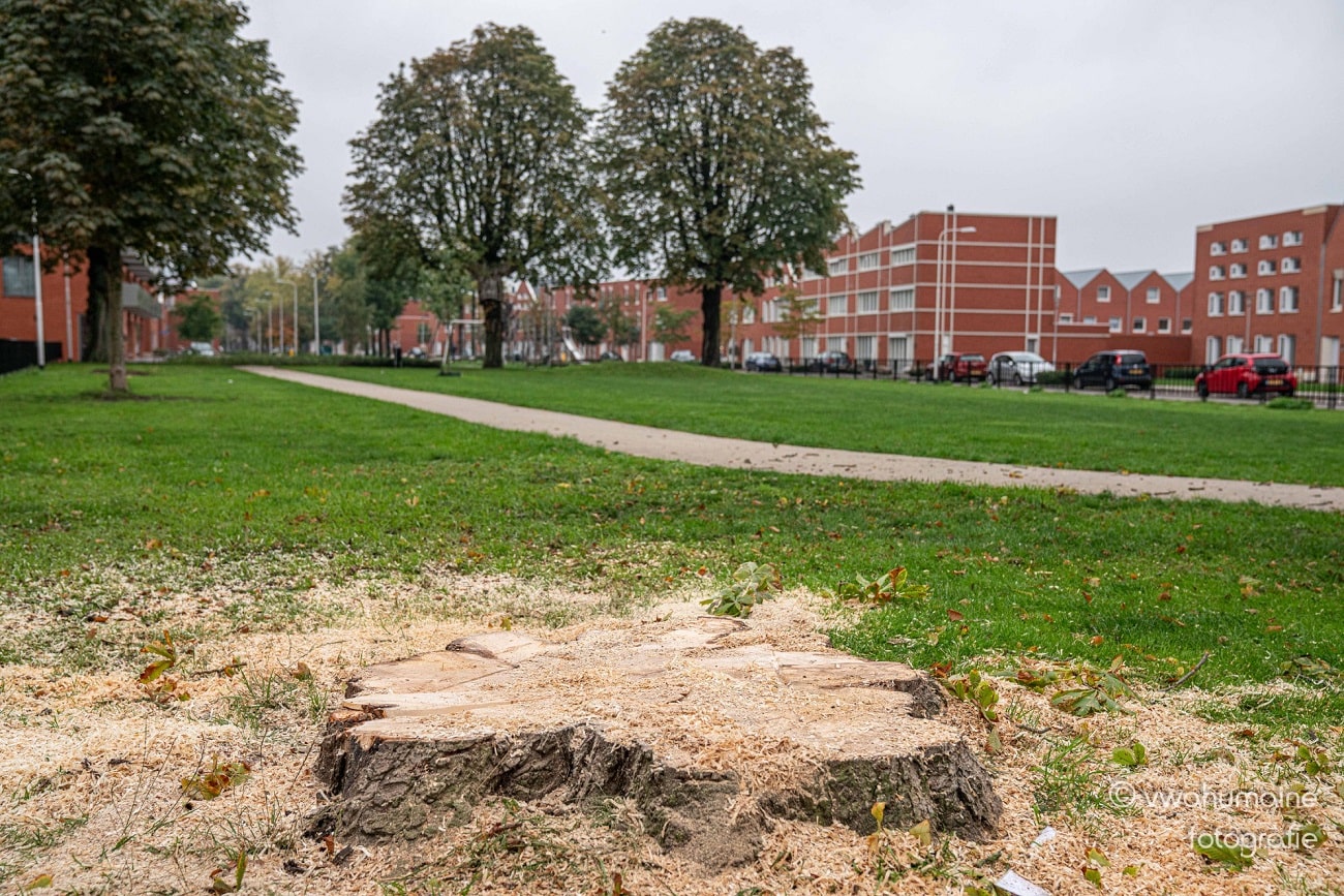 Sint Pieterspark Tilburg - Foto 9