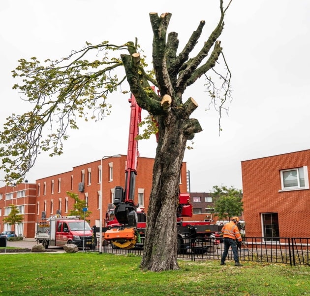 Sint Pieterspark Tilburg