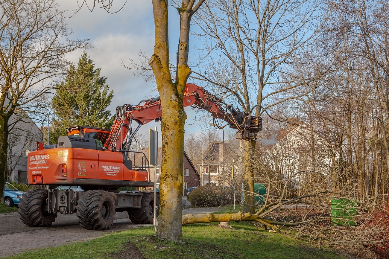 Sint Michielsgestel - Foto 1