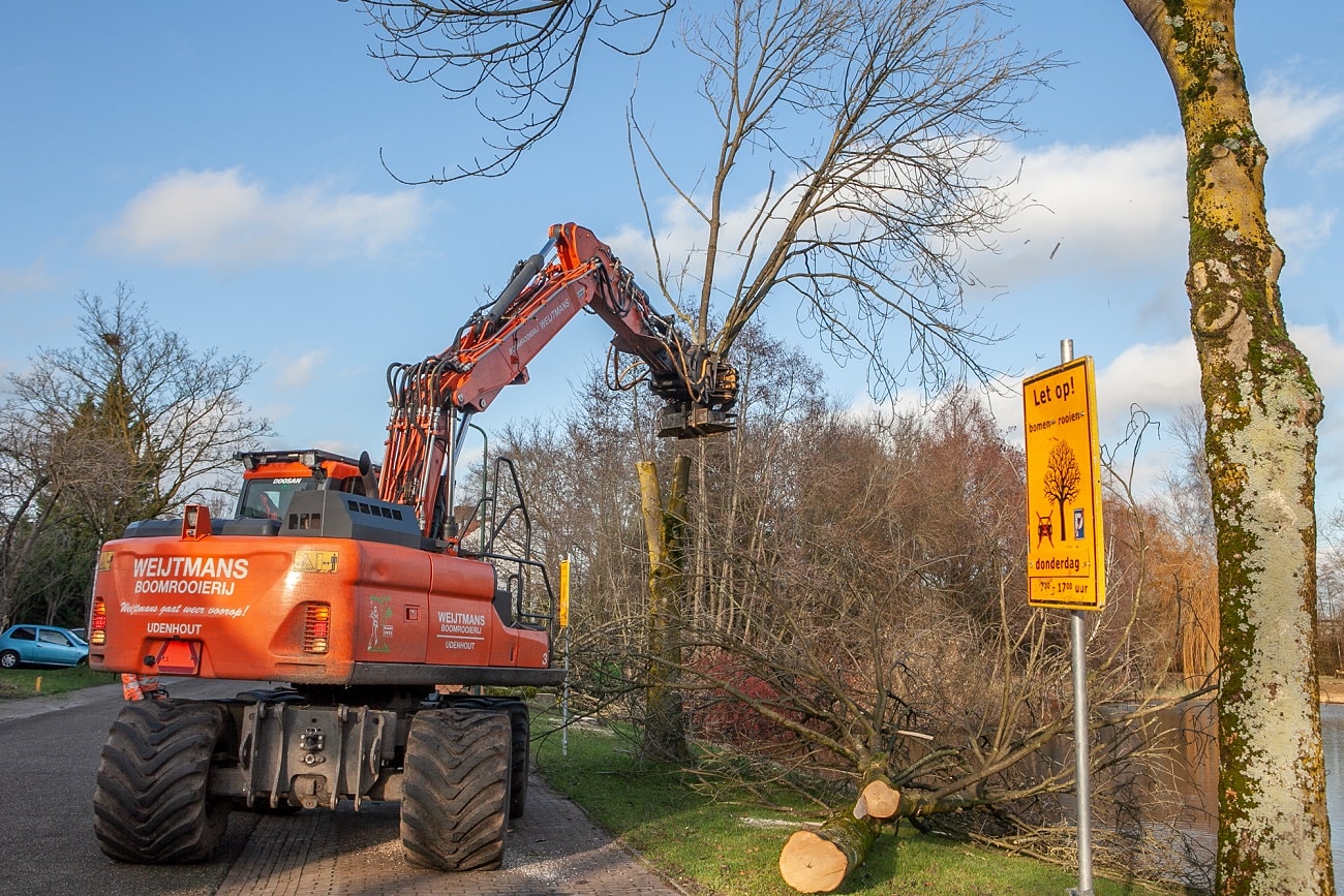 Sint Michielsgestel - Foto 6