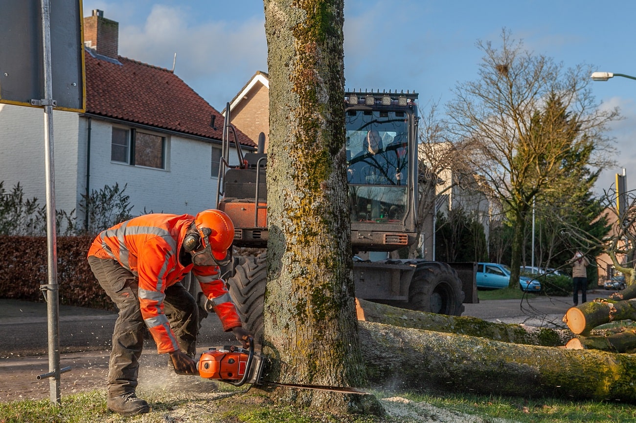 Sint Michielsgestel - Foto 7