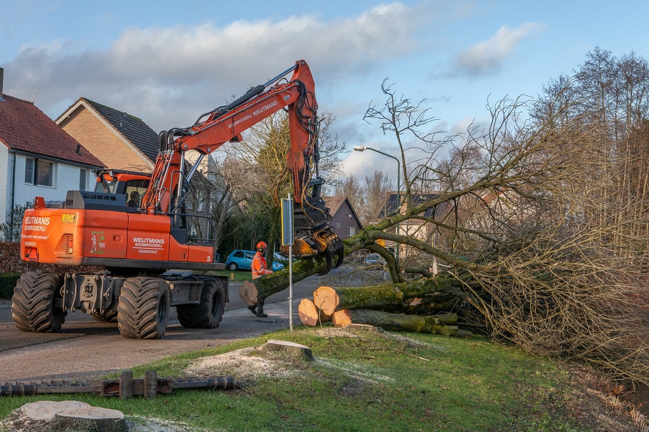 Sint Michielsgestel - Foto 9