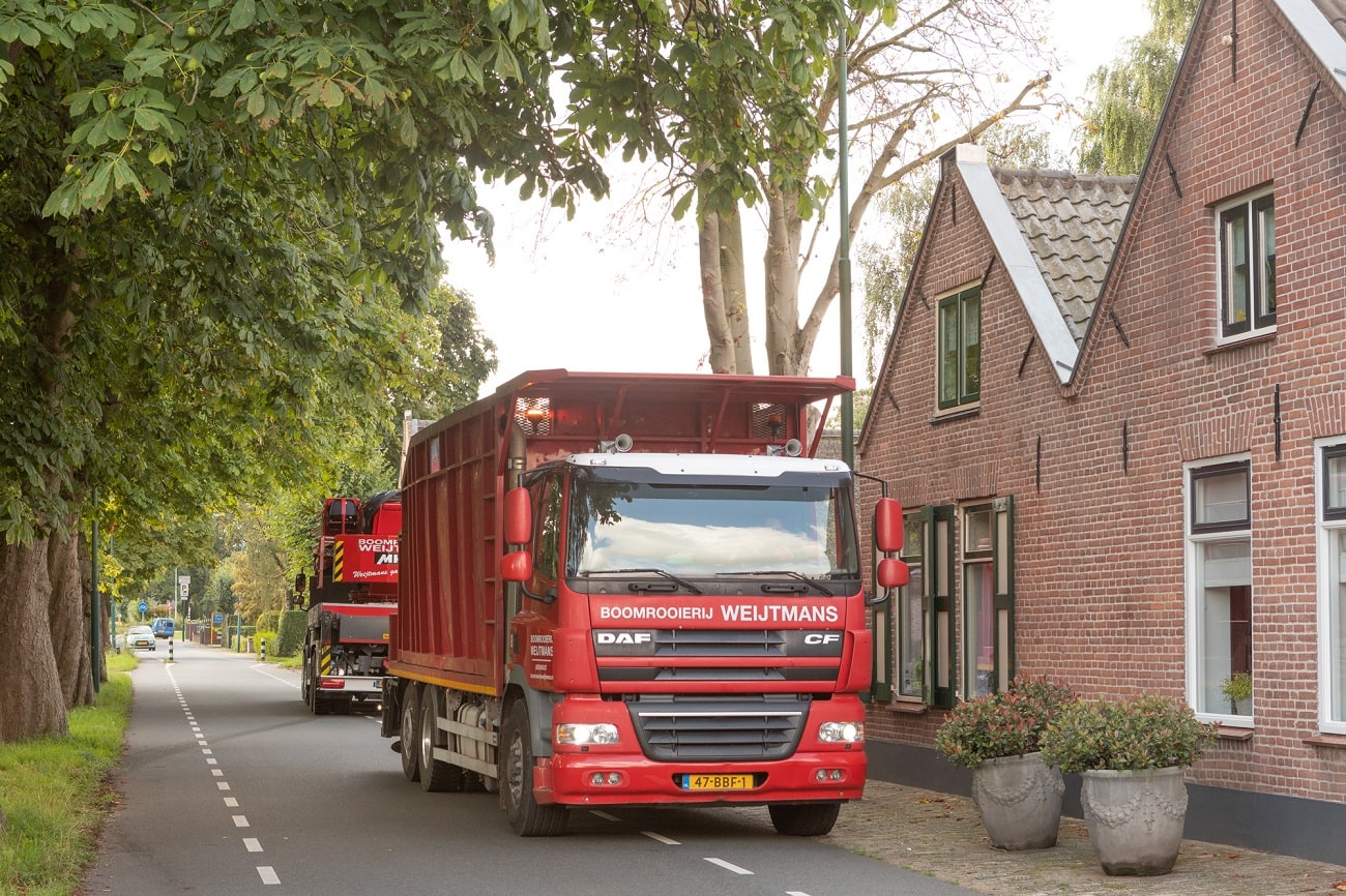 Boom bij boerderij - Foto 1